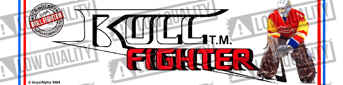 Bull Fighter