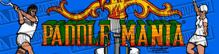 Paddle Mania