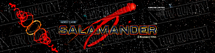 Salamander