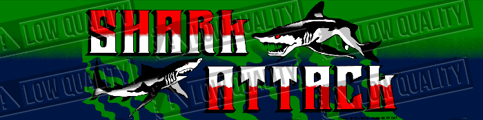 Shark Attack