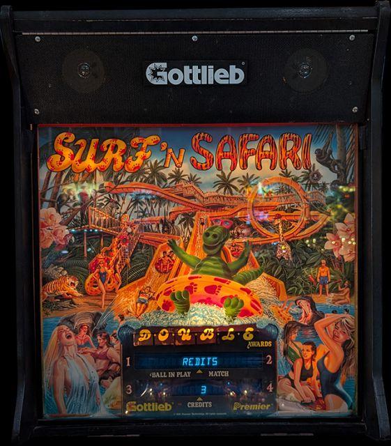Surf 'n Safari