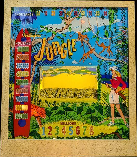 Jungle