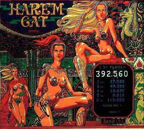 Harem Cat
