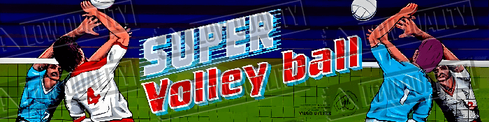 Super Volleyball